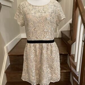Gryphon New York Ivory - Silver Metallic Lace Dress Size Large NWT